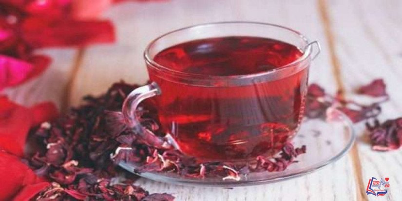 الكركديه والضغط .. كيف يؤثر الكركديه على الضغط؟