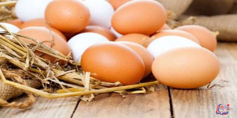 فوائد البيض للجنس .. البيض يعزز الصحة الجنسية للرجال!
