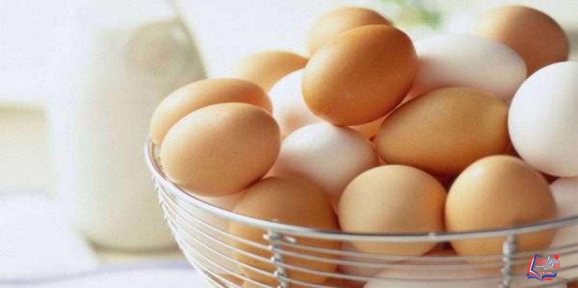 ملف شامل حول فوائد البيض الصحية والجمالية .. تعرف عليها!