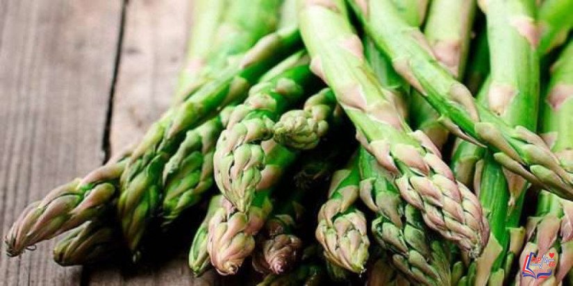 فوائد الهليون الصحية .. و طرق تحضيره المختلفة