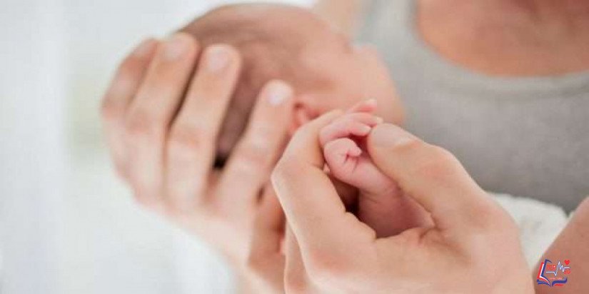 مراحل تكوين الجنين أسبوعياً