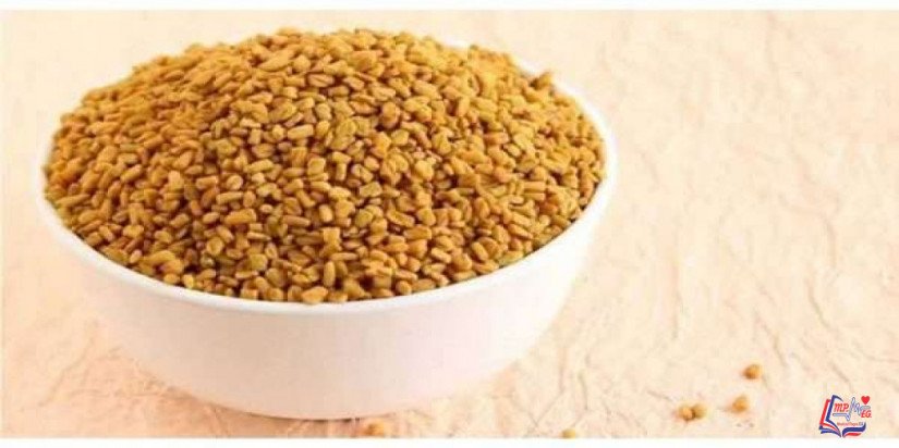 فوائد بذور الحلبة لمرض السكر
