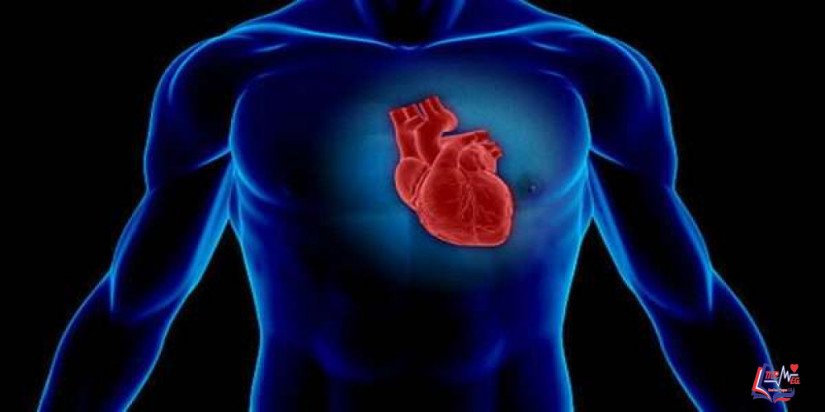 آثار تضخم القلب