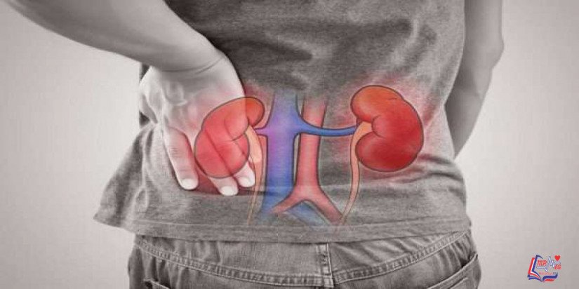 الفشل الكلوي Kidney failure